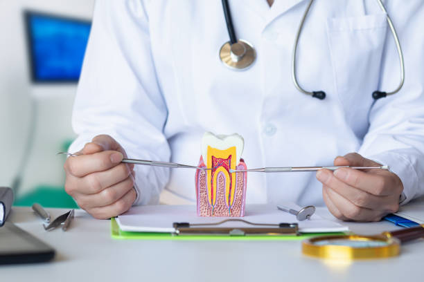 Best Broken Tooth Emergency  in Flowery Branch, GA